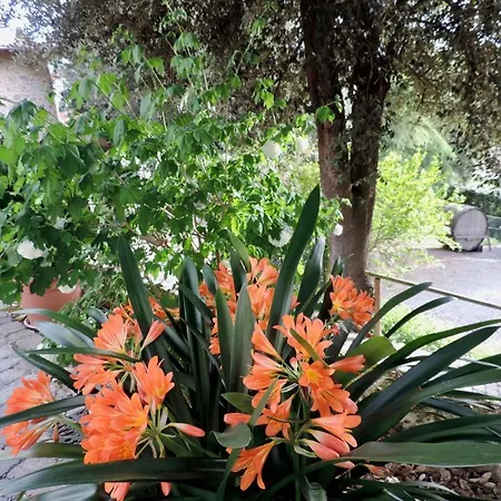 Popoltaio-schiacciato Sleeps 8 Pool Air Con *